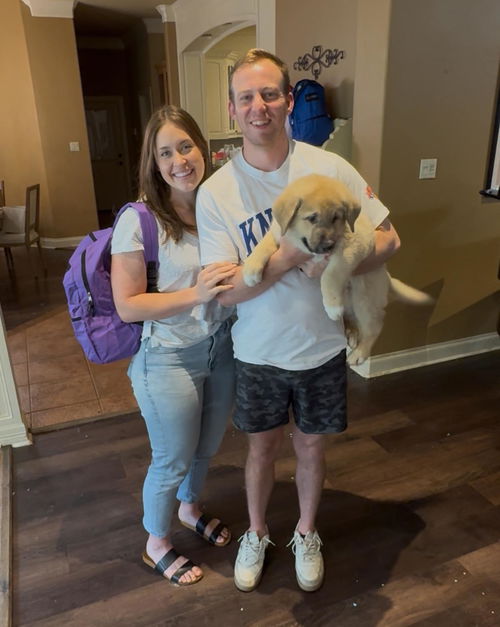 George (Bernie at adoption)