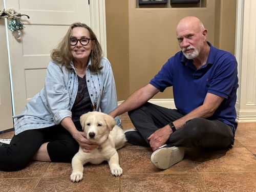 Horner (James Horner) now Bandit at Adoption