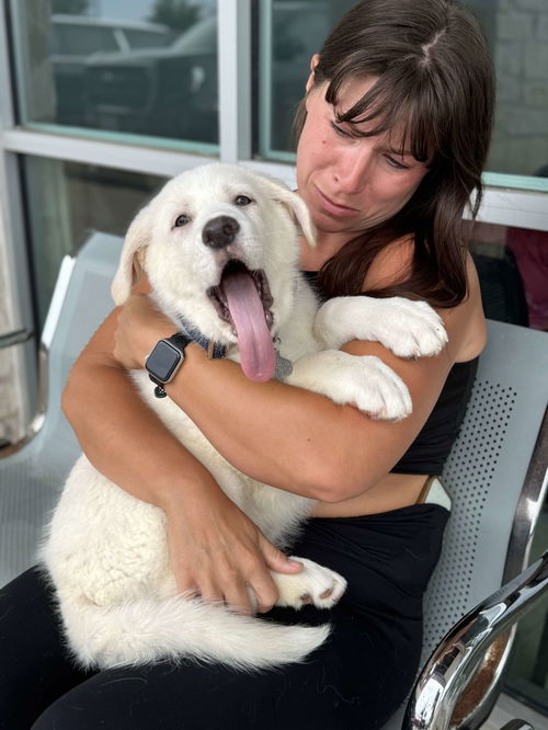 Fanny (Lollie at adoption)