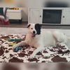 Petey (Peter)