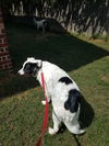 Petey (Peter)