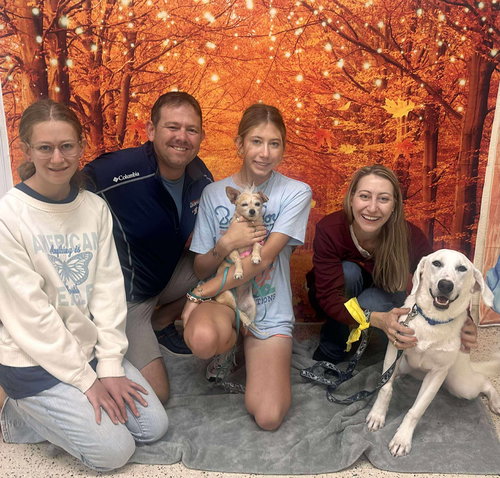 Lyla (Willow at adoption)