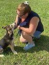 Bohdi (fka Barney at BARC shelter)
