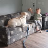 Charlie BOP (Big Ole Pooch!)