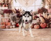 Mishka