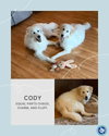 Cody
