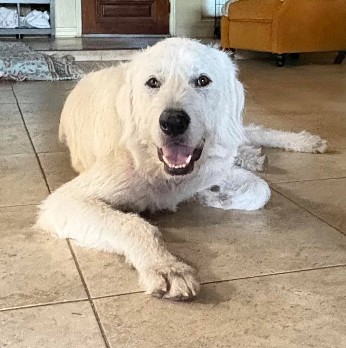 Max
