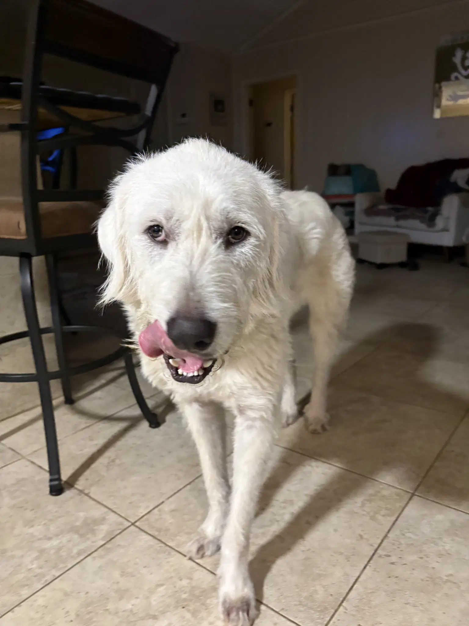 Max image 3