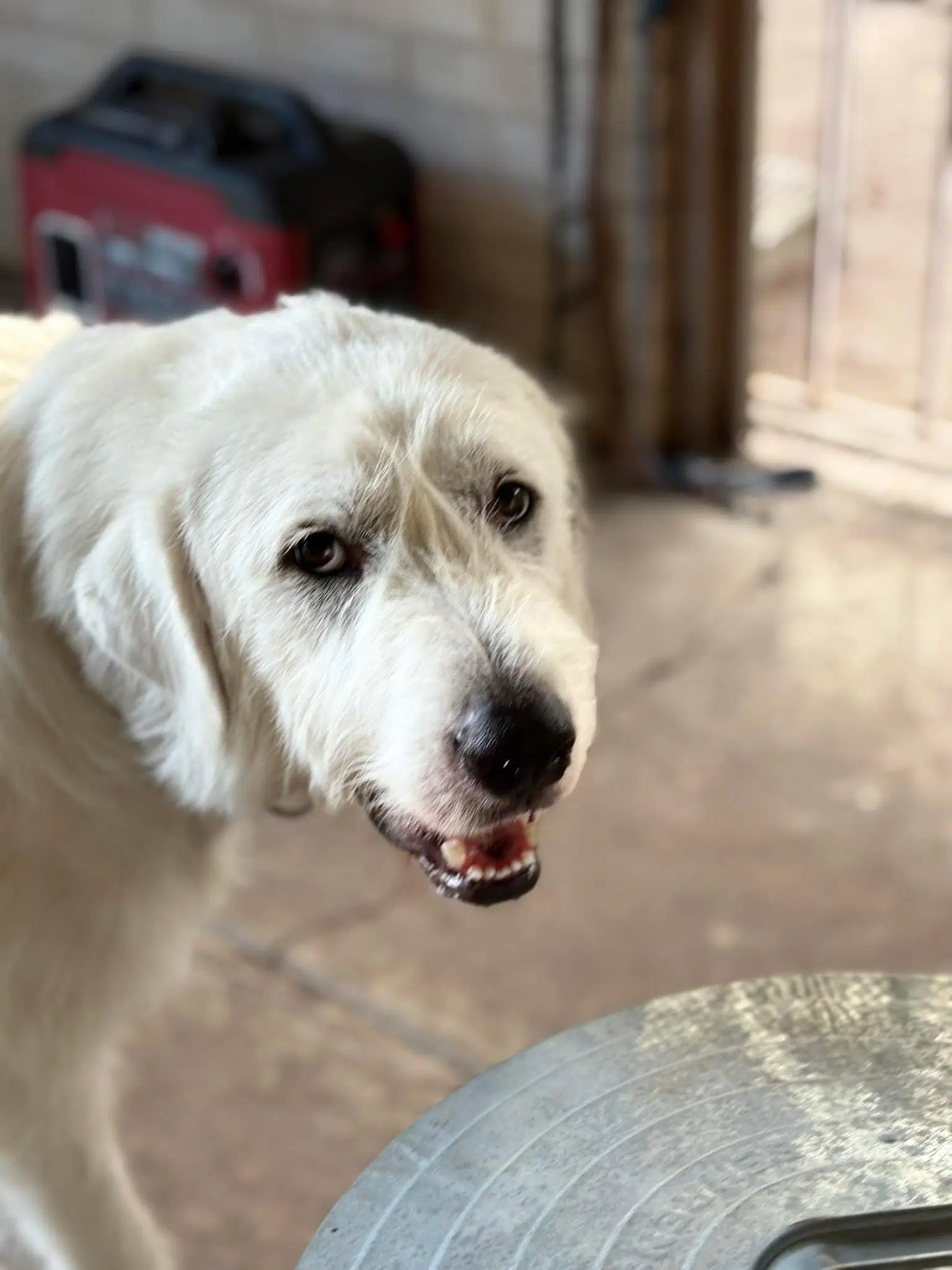Max image 4
