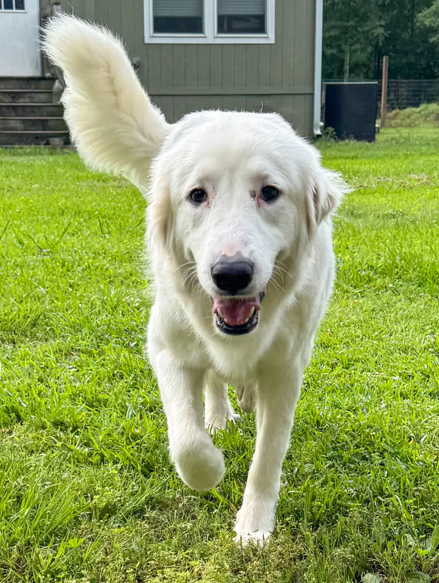 Skye Aka Skyler image 2