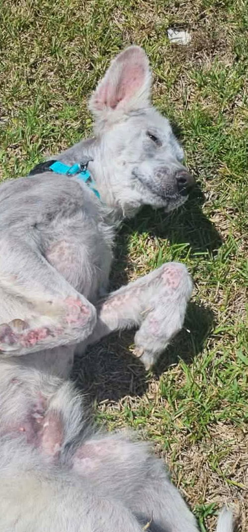 Photo 2 of Casper