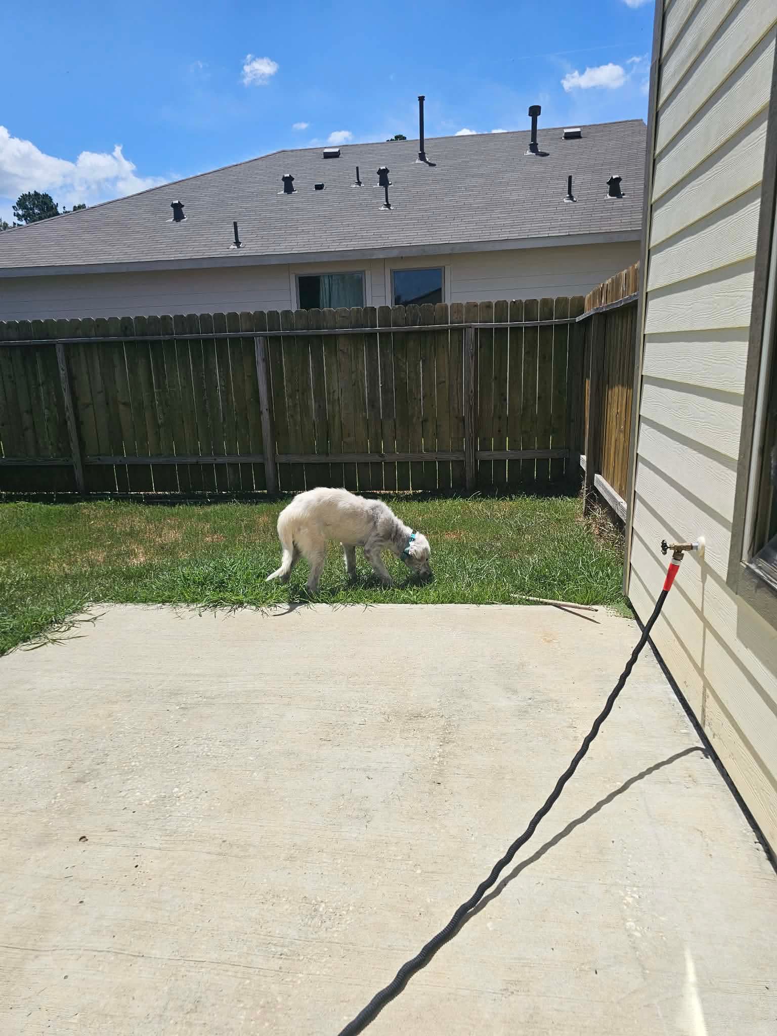 Casper image 3
