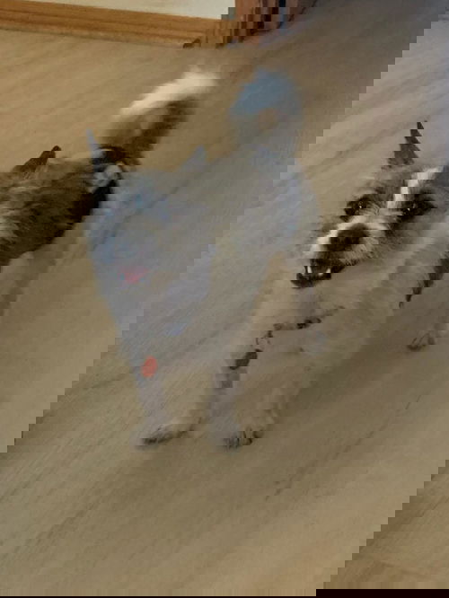Doc
