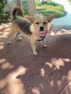 Benny