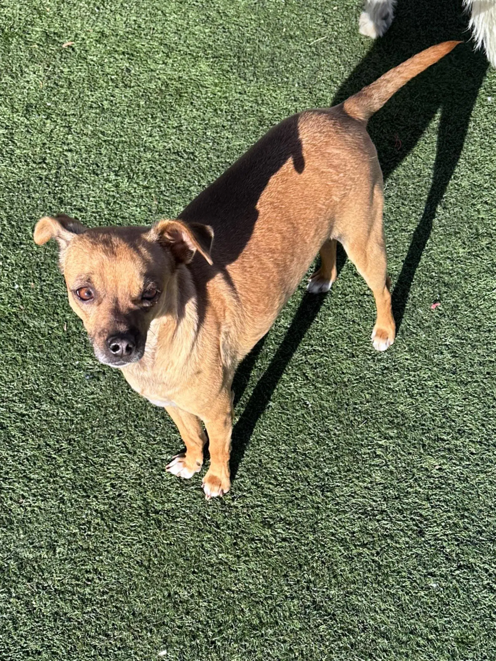 Gus image 2