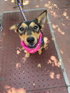 Toph - Photo 3