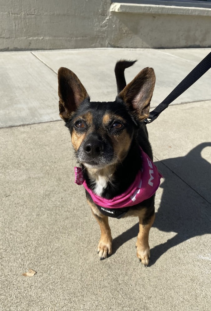 Drake