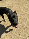 Lucy - Photo 7