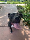Lucy - Photo 2