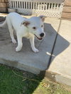 Casper - Photo 10