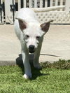 Casper - Photo 12