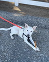 Casper - Photo 8
