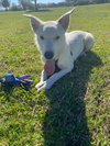 Casper - Photo 2