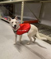Casper - Photo 5