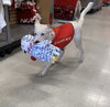 Casper - Photo 6
