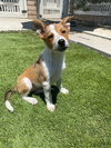 Cheyanne - Photo 9