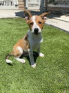 Cheyanne - Photo 10