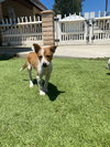 Cheyanne - Photo 11