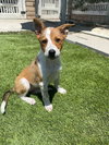 Cheyanne - Photo 12
