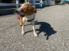 Cheyanne - Photo 7
