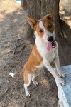 Cheyanne - Photo 8