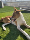 Cheyanne - Photo 5
