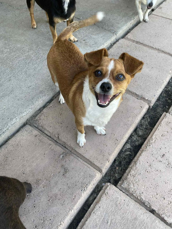 Tito