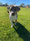 Sebastian - Photo 3