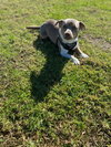 Sebastian - Photo 5