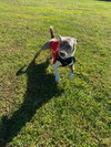 Sebastian - Photo 7