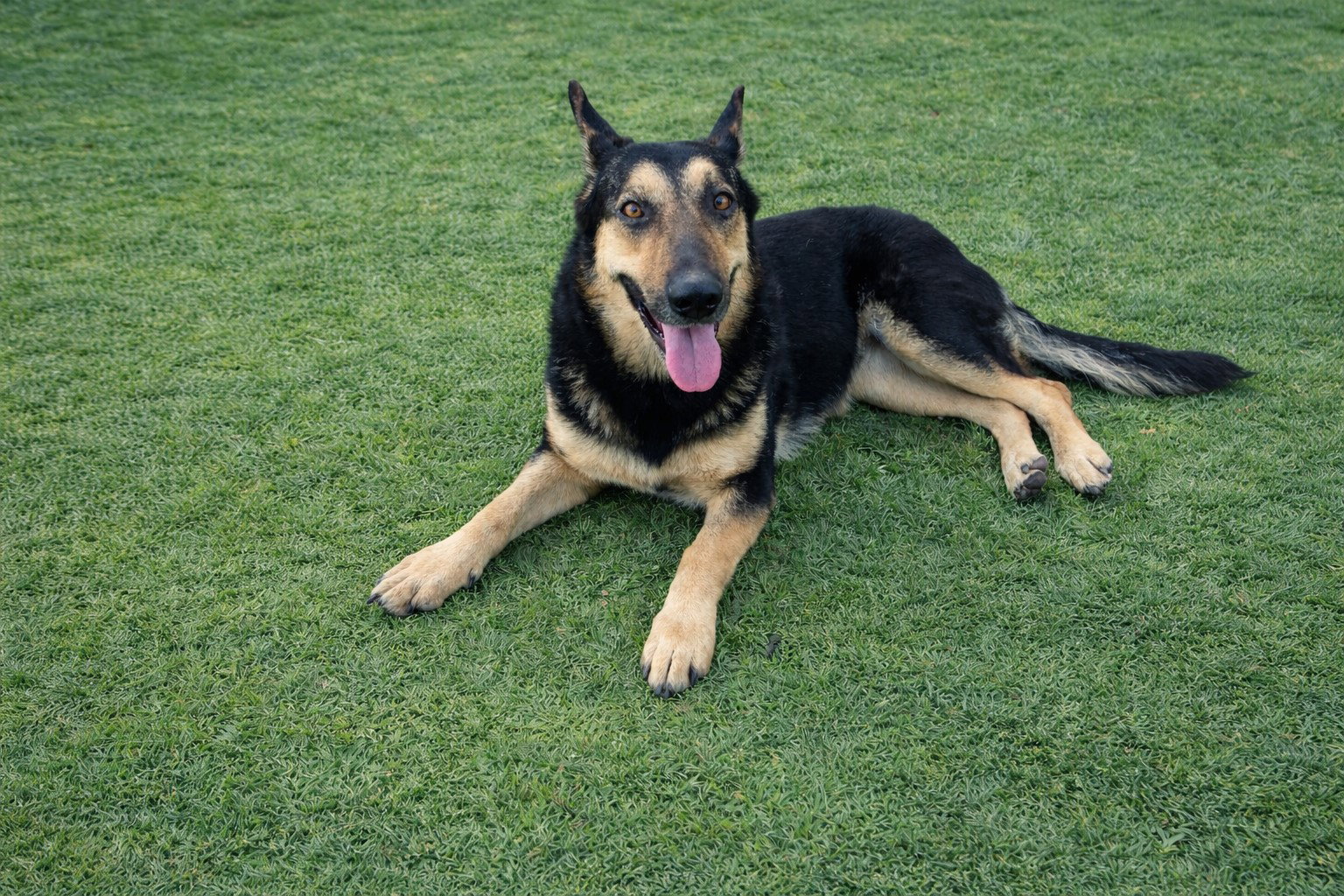 Dakota