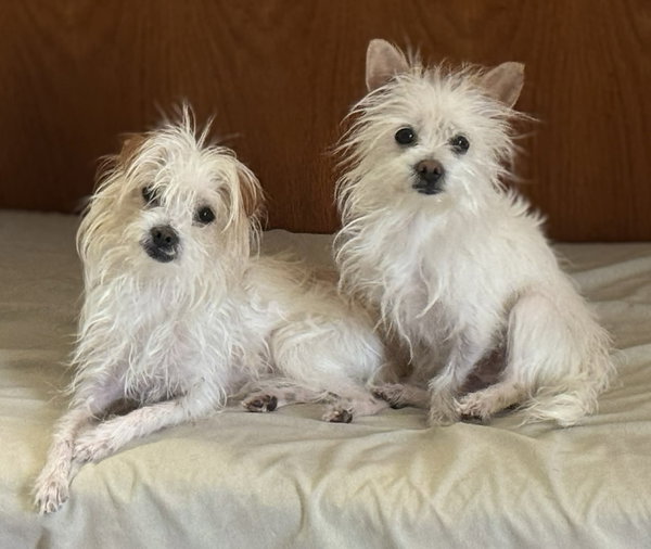 Bert and Ernie