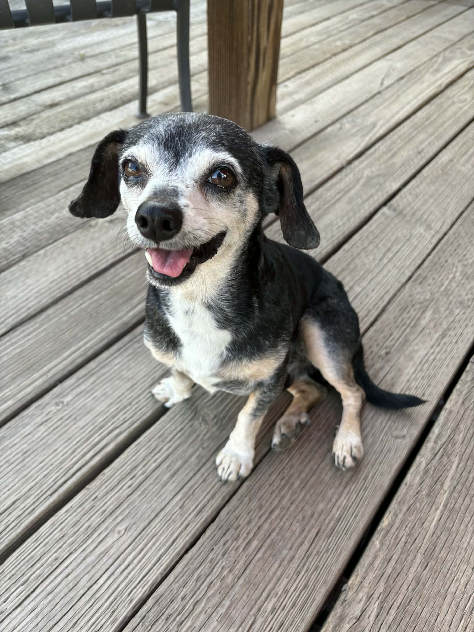 Norman