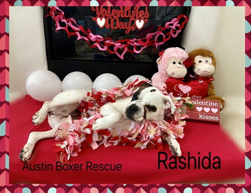 Rashida — thumbnail 3