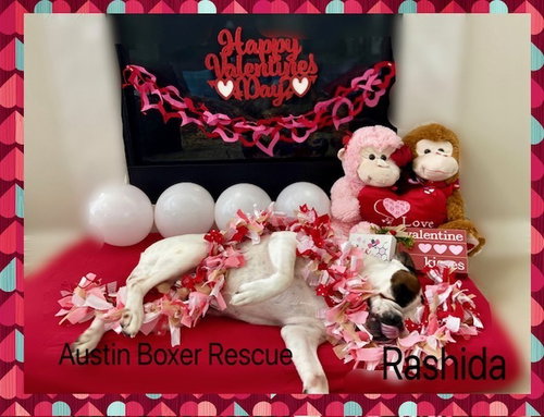 Rashida — thumbnail 4