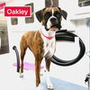 adoptable Dog in Austin, TX named Oakley III