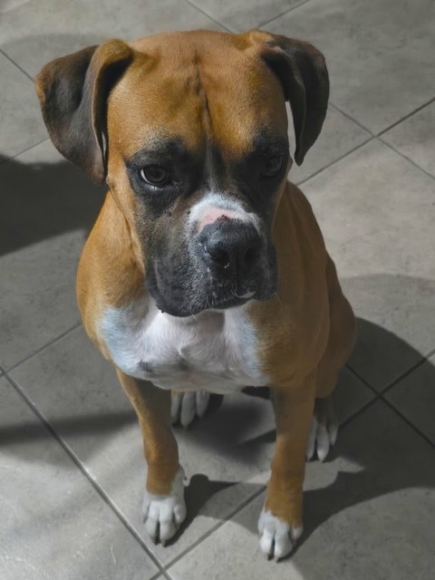 Uzie