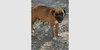 Penleigh - Photo 3