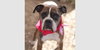 Whoopie - Photo 2