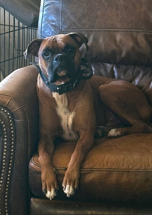 Duke X
